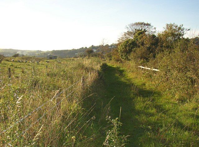 Un sendero rural atraviesa un campo, con una cerca a un lado y un árbol al otro.