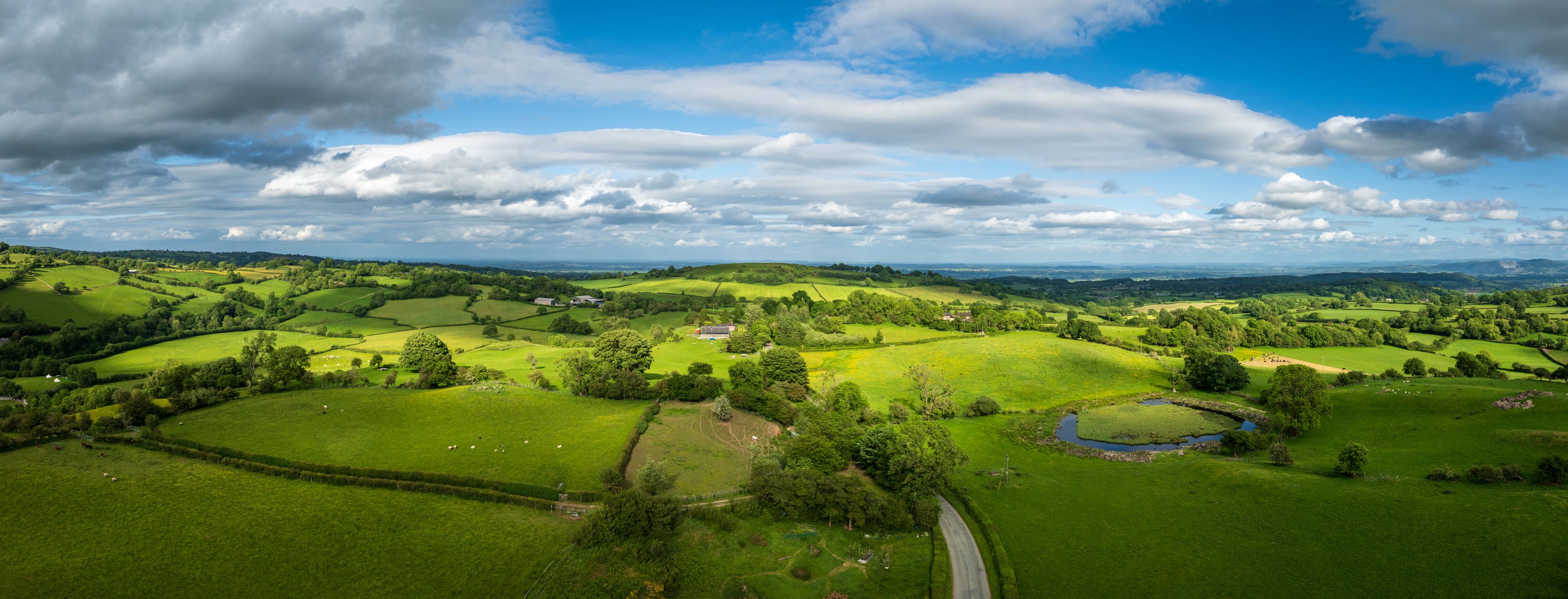 Rolling green hills, a winding road, and a small pond.