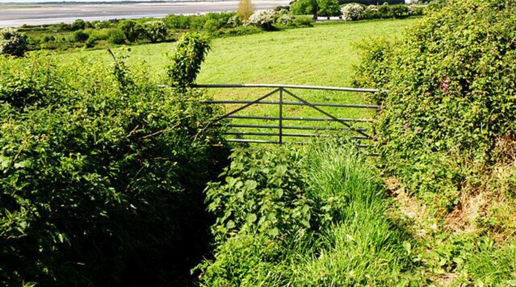 Looking towards the sea Farmland near Kidwelly. In the distance can be seen Gwendraeth, the mouth of Gwendraeth Fawr, as it reaches the sea at the same point as the Rivers Towy and Taf.