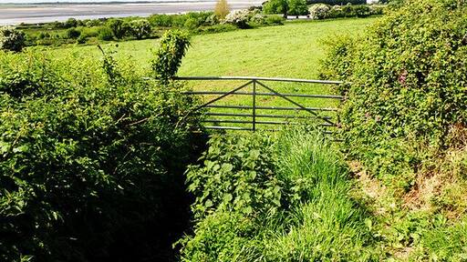 Looking towards the sea Farmland near Kidwelly. In the distance can be seen Gwendraeth, the mouth of Gwendraeth Fawr, as it reaches the sea at the same point as the Rivers Towy and Taf.