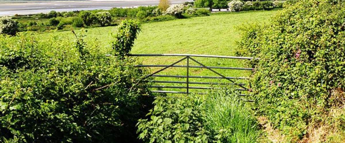 A rural landscape with a metal gate, lush greenery, and a distant view of a body of water.