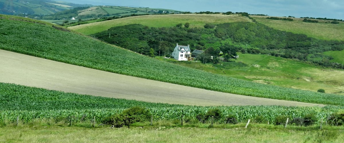 A rural landscape with rolling hills, a field of crops, and a white house nestled among the greenery.