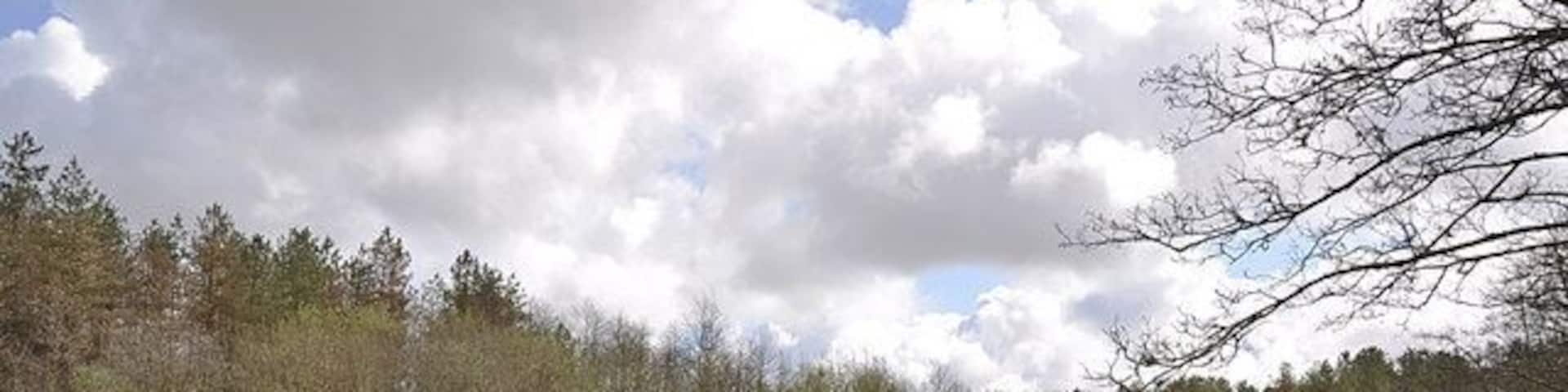 East Pond Mynydd Mawr Woodland Park