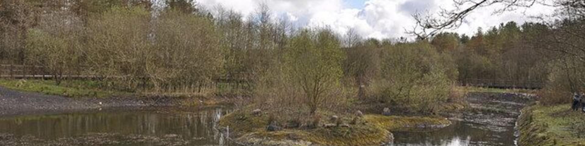 East Pond Mynydd Mawr Woodland Park