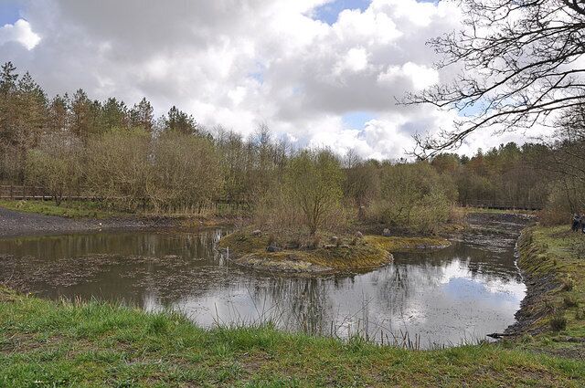 A calm river with a small island, surrounded by trees and a cloudy sky.