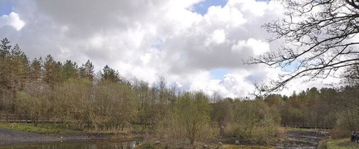 A calm river with a small island, surrounded by trees and a cloudy sky.