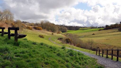 View to the east at Mynydd Mawr Woodland Park