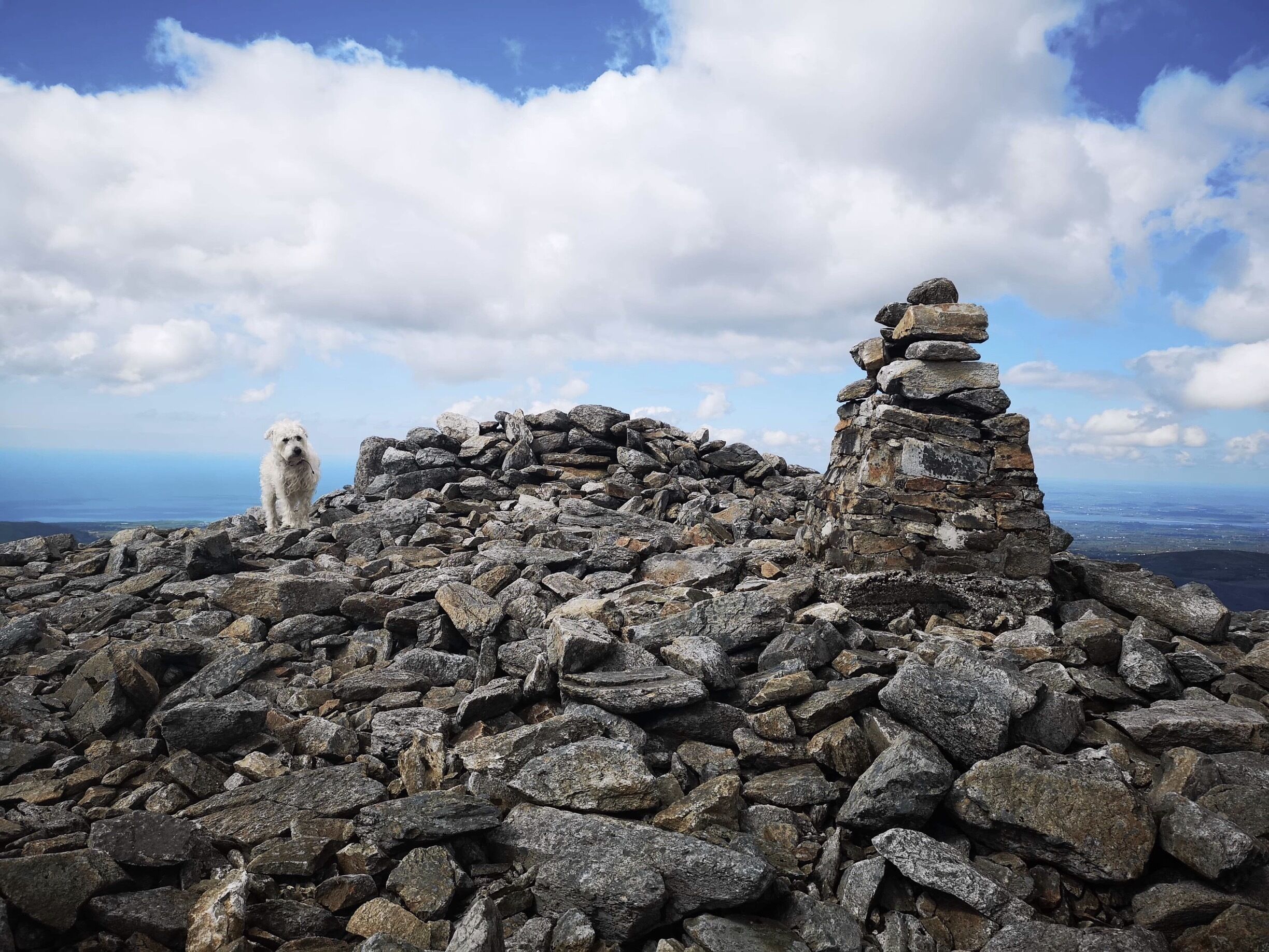 Poppy bagging the Trig Point 