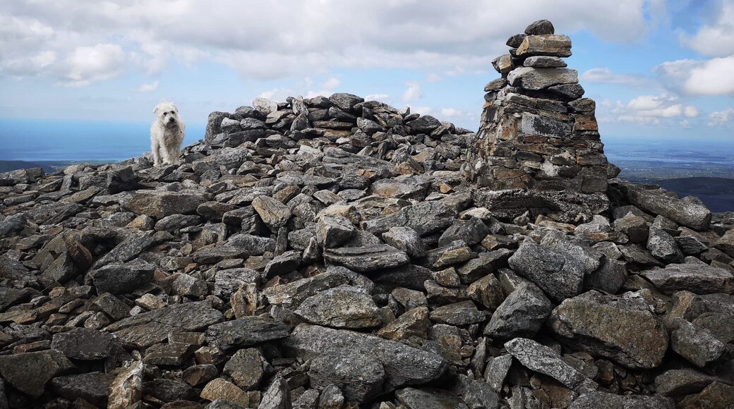 Poppy bagging the Trig Point