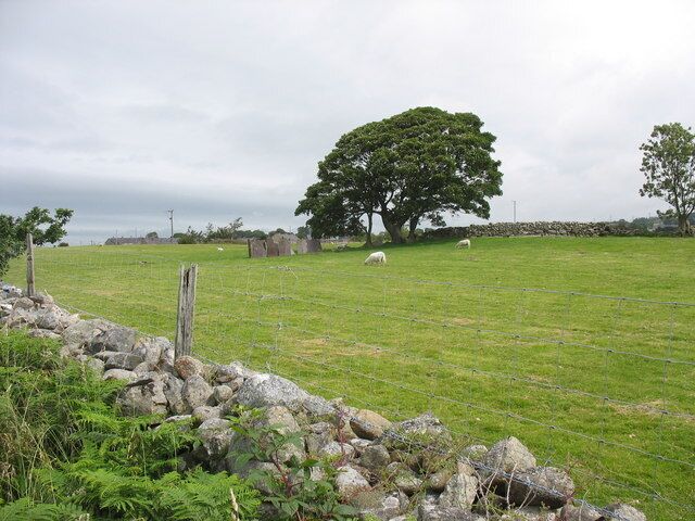 Un campo cubierto de hierba con un muro de piedra, un árbol grande y ovejas pastando.
