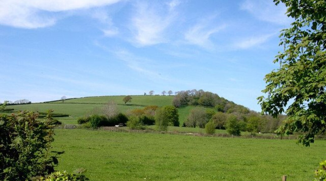 Hilltop above Aber farm