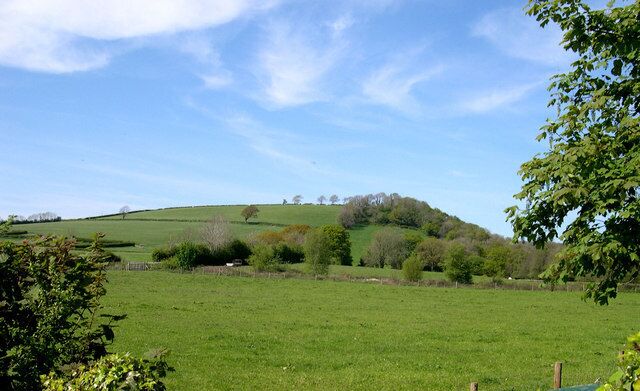 A green field with trees and a hill in the background.