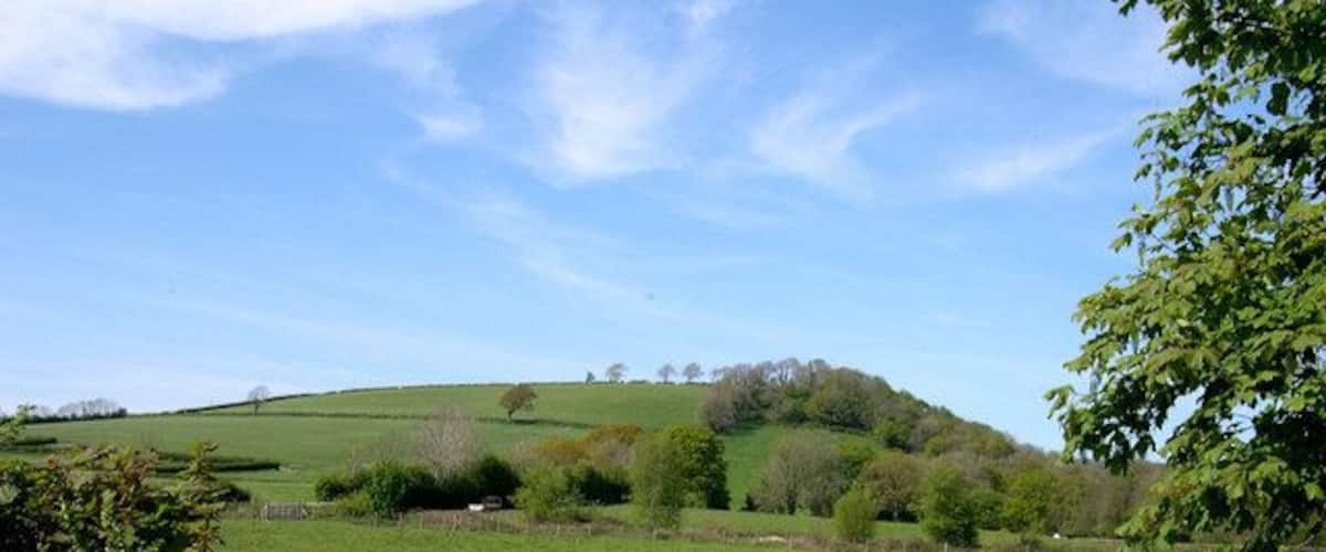 A green field with trees and a hill in the background.