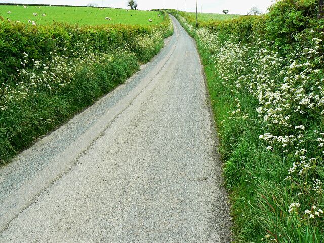 Minor road to Llangynin To reach Llangynin it is necessary to take a left turn when the road seen here meets a T junction.