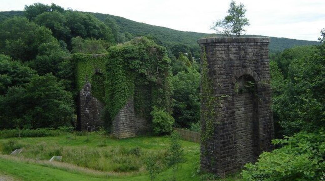 Piers from dismantled viaduct These ruins once carried a railway over the road from which I took the shot, and the river valley below. This is one of a number of dead railways in the area.