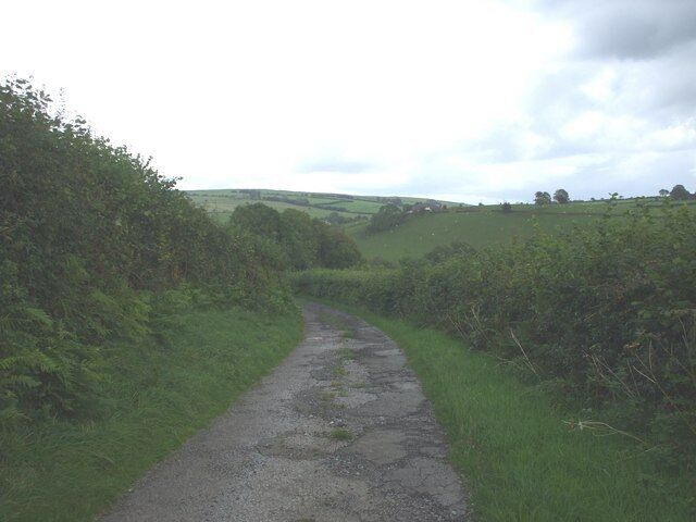 Track to Gelli-fud Farm