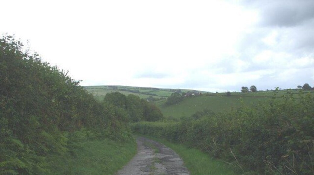Track to Gelli-fud Farm