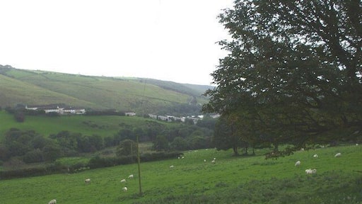 Glynllan from the track to Gelli-fud Farm