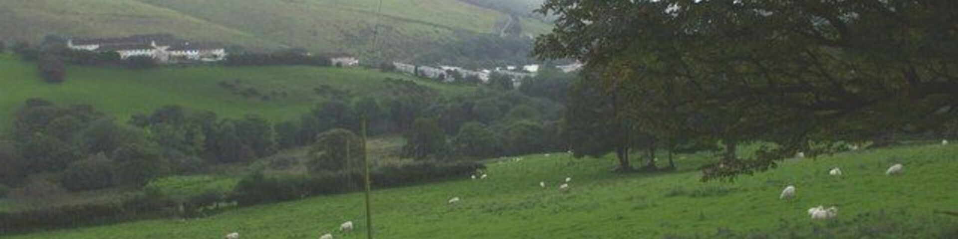 Glynllan from the track to Gelli-fud Farm