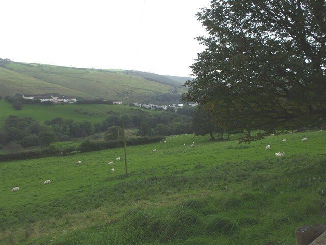 A green field with sheep, a tree, and rolling hills in the background.
