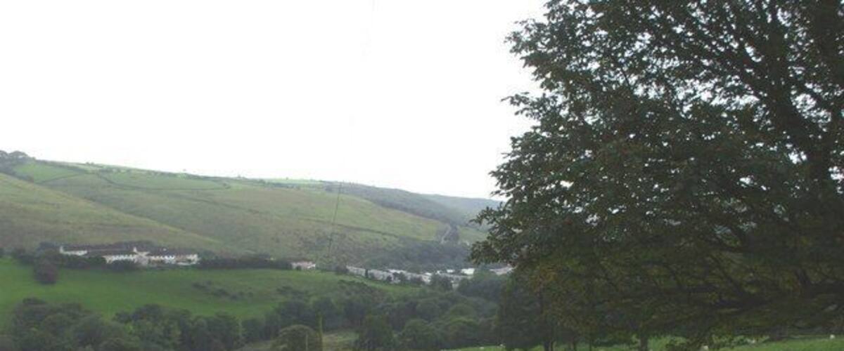 A green field with sheep, a tree, and rolling hills in the background.