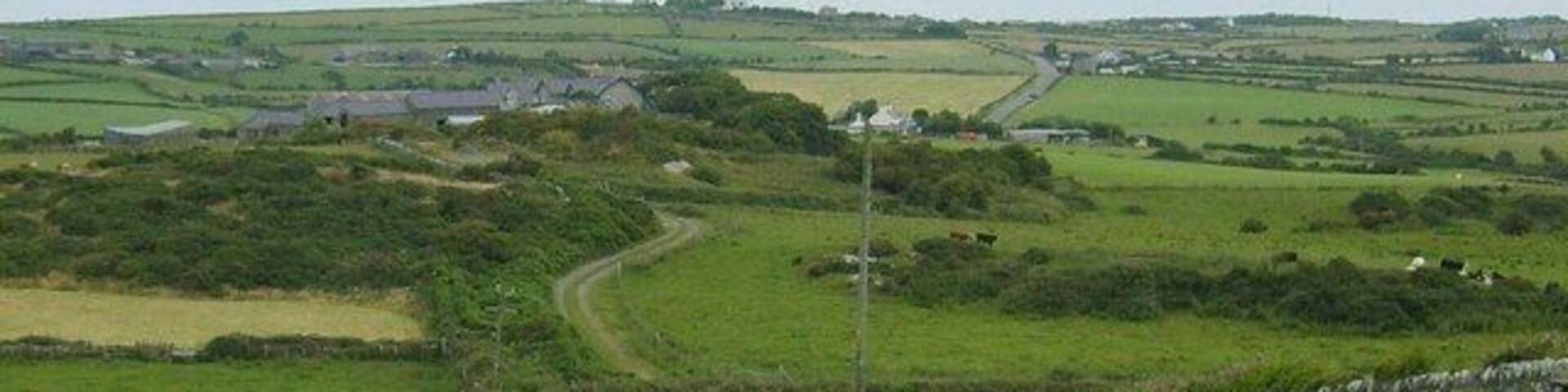 Footpath and farm track towards Bryn Maethlu Farm