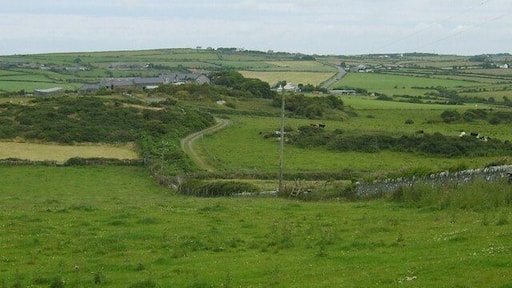 Footpath and farm track towards Bryn Maethlu Farm
