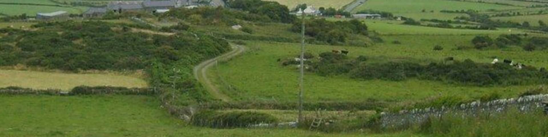 Footpath and farm track towards Bryn Maethlu Farm