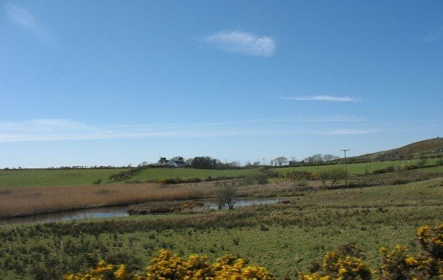 The Llyn Garreg-lwyd wetland