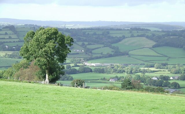 Grazing Land and Teifi Valley Landscape, Ceredigion