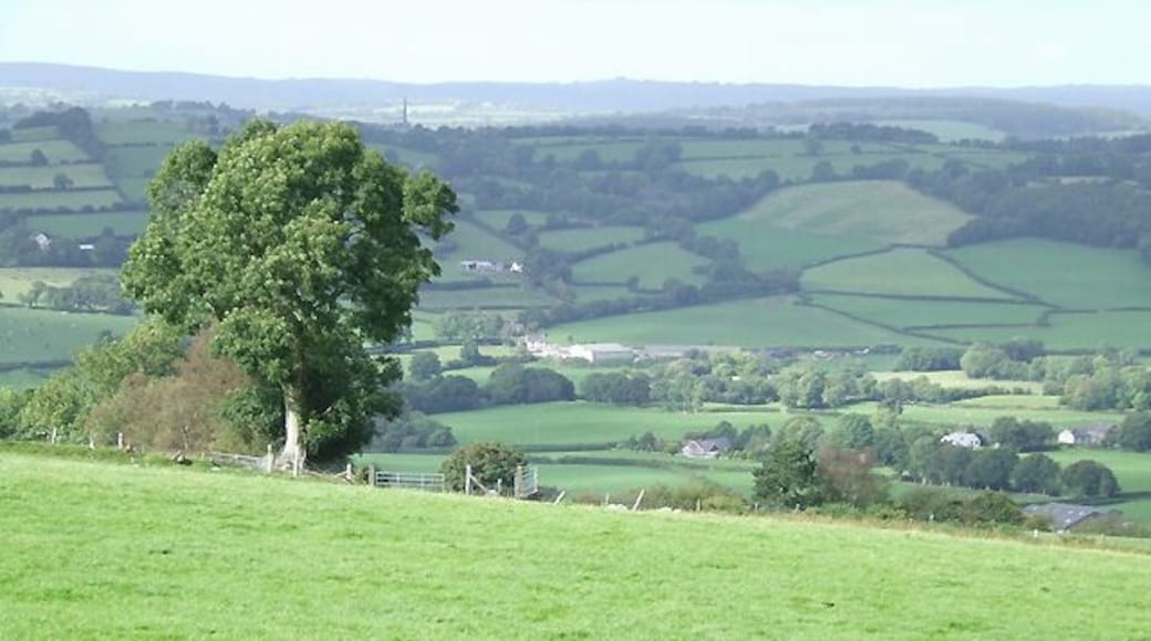 Grazing Land and Teifi Valley Landscape, Ceredigion