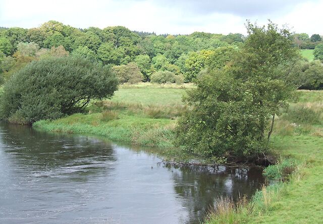 Un río con árboles y hierba a lo largo de las orillas.