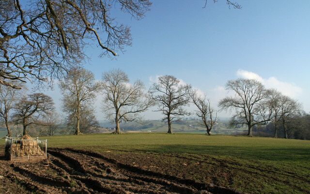 In Line Field opposite Llanoddian Isa bounded by tree line.