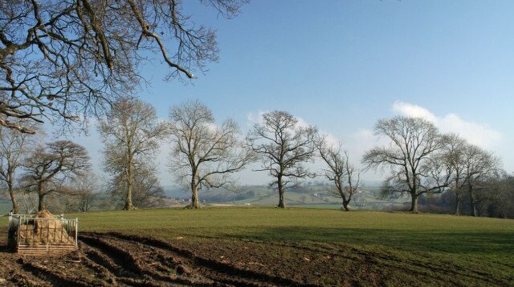 In Line Field opposite Llanoddian Isa bounded by tree line.