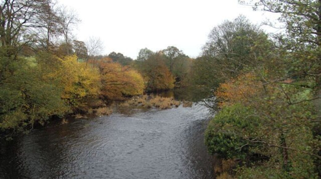 Afon Banwy in autumn Viewed from railway bridge