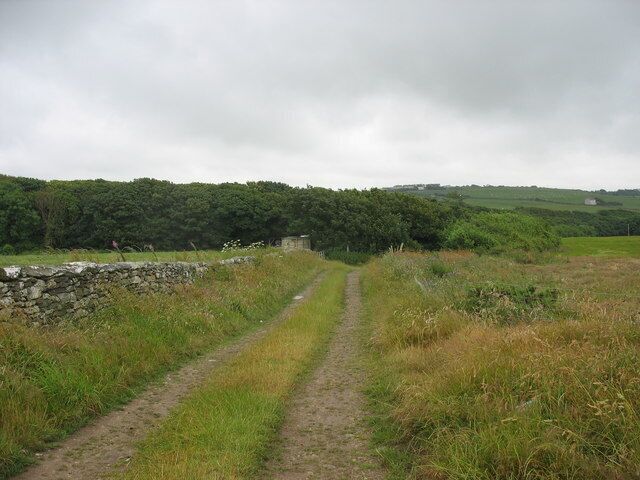 View south along the farm track towards the Carreglwyd woodlands