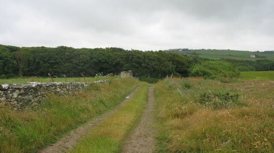 View south along the farm track towards the Carreglwyd woodlands