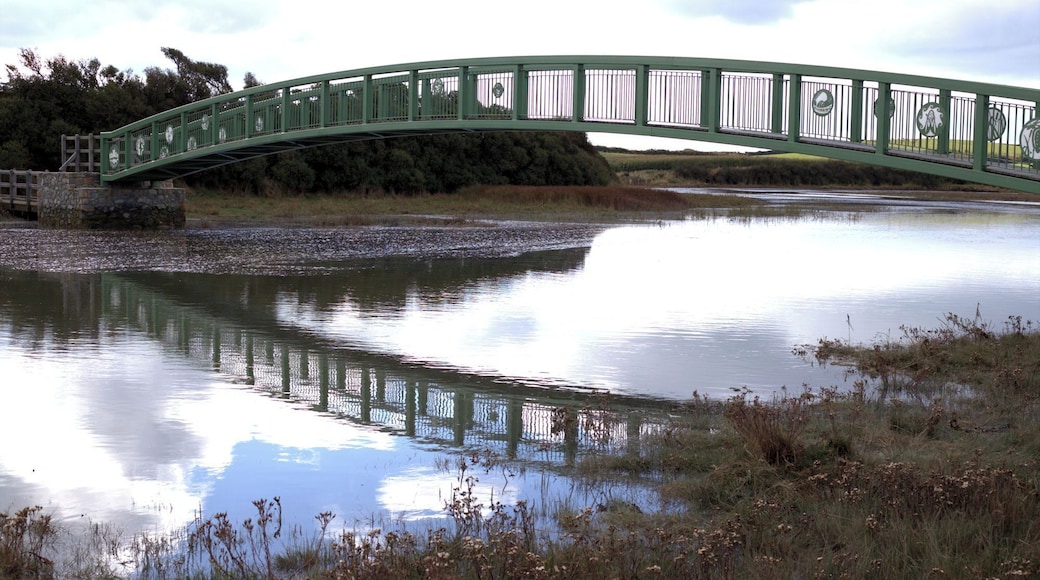 Tide starting to recede at Pont Aber Alaw