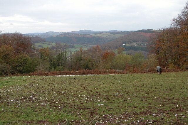 The Wye Valley viewed from The Hudnalls. View north up the Wye Valley from Offa's Dyke path at Hudnalls.