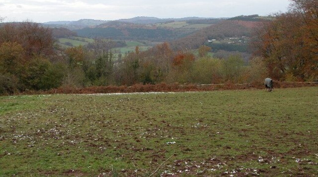 The Wye Valley viewed from The Hudnalls. View north up the Wye Valley from Offa's Dyke path at Hudnalls.