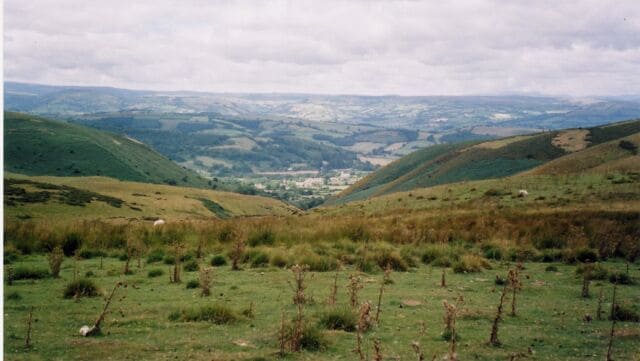 View towards Llandinam from near the top of Bryn Gwyn Two of the many sheep that graze on these hills can be seen. There are amazing views of the surrounding countryside.