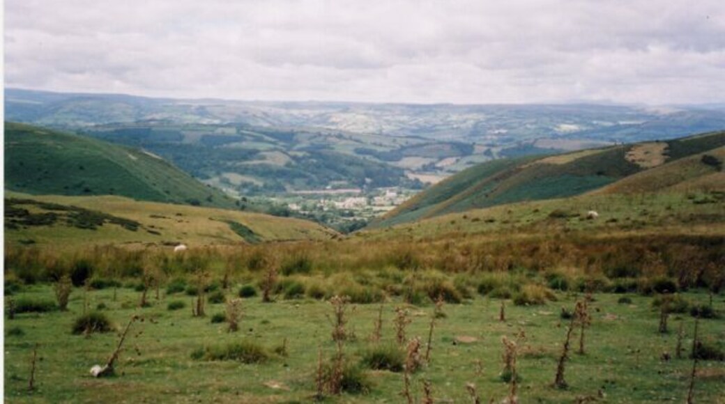View towards Llandinam from near the top of Bryn Gwyn Two of the many sheep that graze on these hills can be seen. There are amazing views of the surrounding countryside.