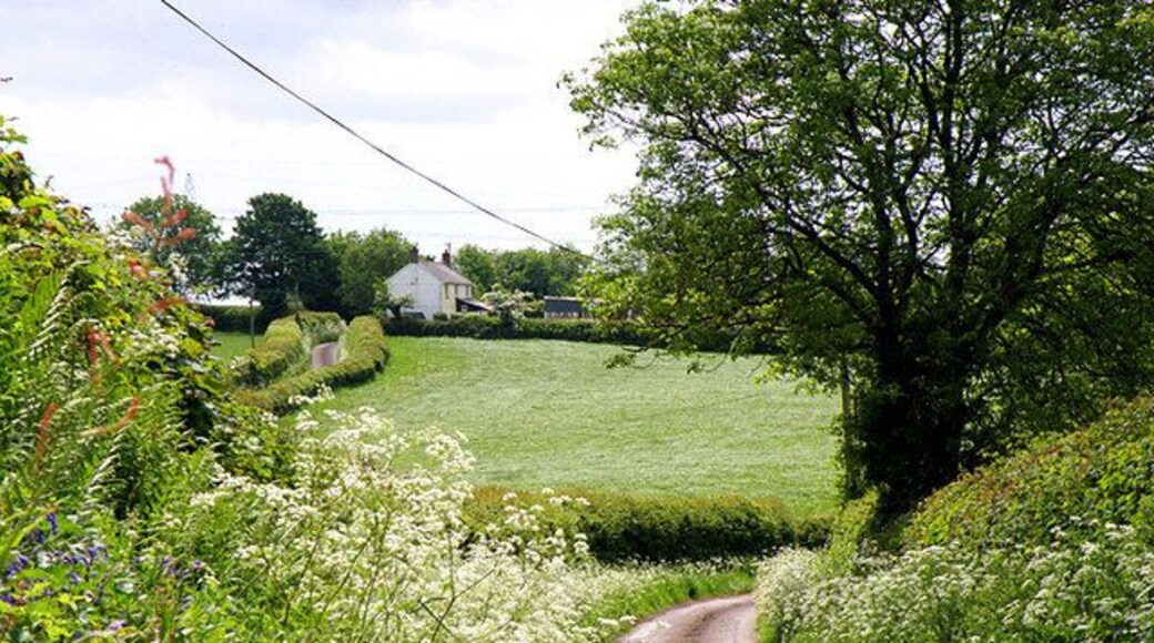 Country Lane Country lane near Bancycapel. The lane in the top left of the picture is the same as that in the foreground.