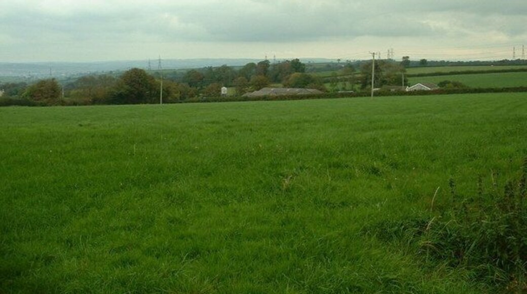 Looking towards Cilmarch farm The farm is just visible beyond the hedge.