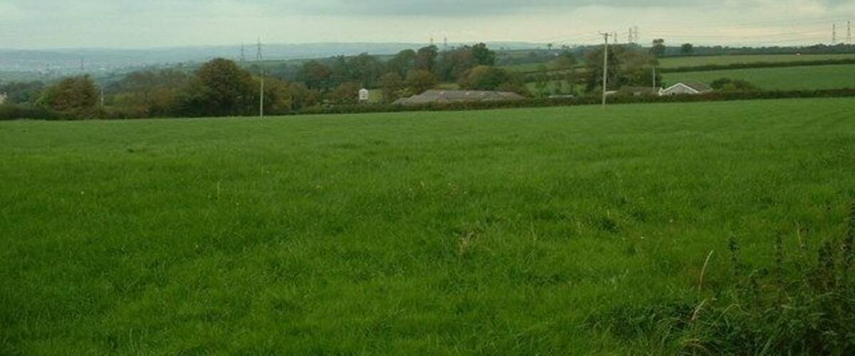 A green field with a cloudy sky and distant buildings.
