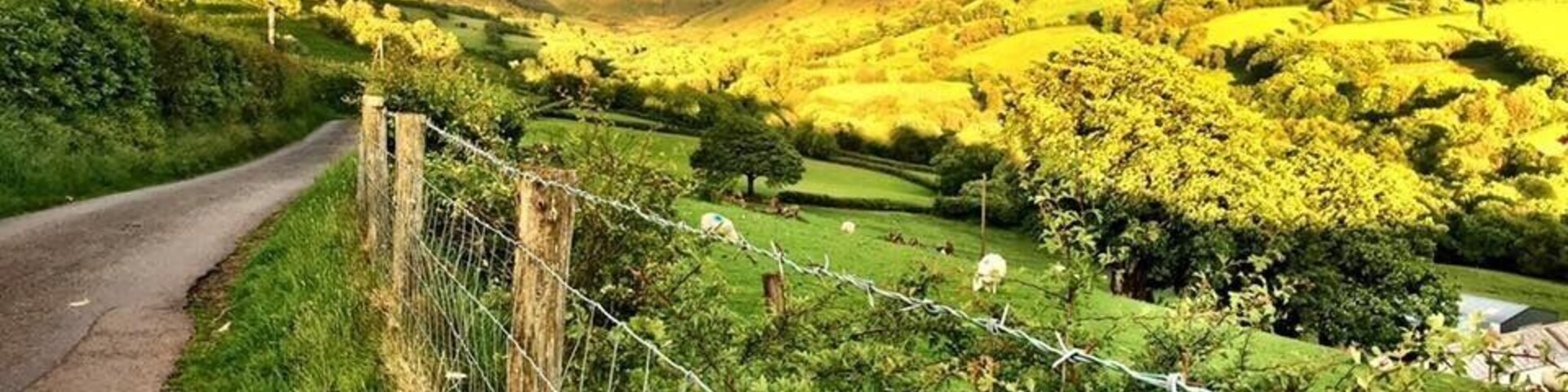 On the walk from the YHA Llanddeusant to Llyn y Fan Fach. May 2017. Legend tells of a water maiden, the lady of the lake, who married a mortal and had three sons. She returned to the lake but often appeared to her sons when they roamed the hills around the lake. She taught them herbal medicine and they became the best physicians in all of Wales for many generations. :)