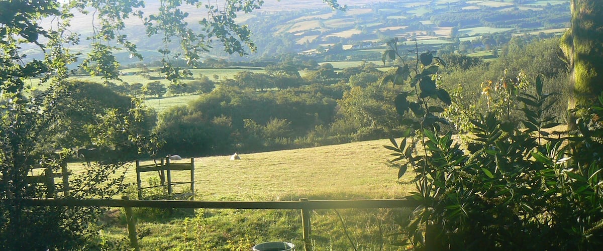 Fields from Rhiwiau-uchaf