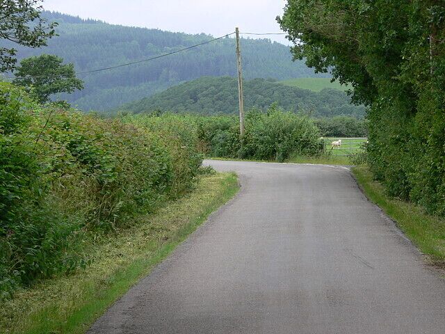 A narrow rural road flanked by dense vegetation and hills in the background.