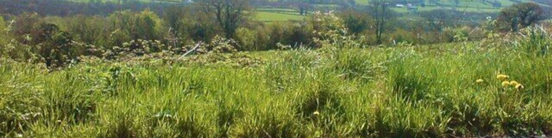 View across the valley