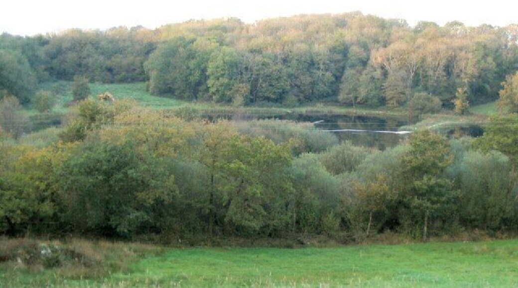 Garnffrwd Lake. The walkways and lifebelts on the lake are probably something to do with the trout fishery.
